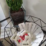 Apartmán La Casa Del Moro Centro - Bellini *